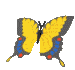 Vlinders Plaatjes 