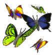 Vlinders Plaatjes Zwerm Gekleurde Vlinders