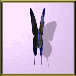 Vlinders Plaatjes 