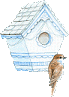 Vogels Plaatjes 