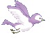 Vogels Plaatjes 