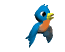 Vogels Plaatjes 