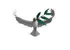 Vogels Plaatjes 
