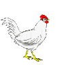 Vogels Plaatjes 