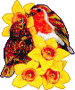 Vogels Plaatjes 