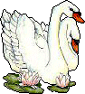 Vogels Plaatjes 