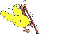 Vogels Plaatjes 
