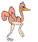 Vogels Plaatjes 