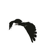 Vogels Plaatjes 