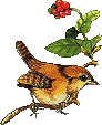 Vogels Plaatjes 