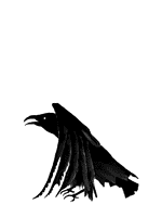 Vogels Plaatjes 