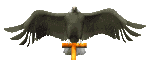 Vogels Plaatjes 