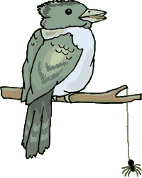 Vogels Plaatjes 