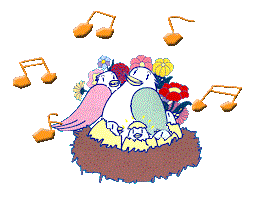Vogels Plaatjes 