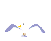 Vogels Plaatjes 