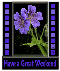 Plaatjes Weekend 
