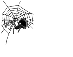 Welkom Plaatjes Spinnenweb Met Een Zwarte Spin Welcome