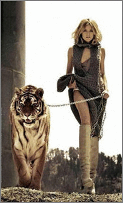 Plaatjes Welterusten 