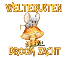 Plaatjes Welterusten 