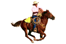 Plaatjes Wildwest Cowboy Wildwesten Paard Rijden