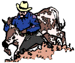 Plaatjes Wildwest Man Met Koe Cowboy