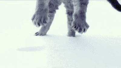 winter Plaatjes 