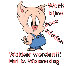 Plaatjes Woensdag 