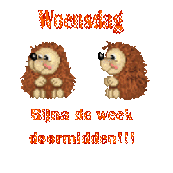 Plaatjes Woensdag 