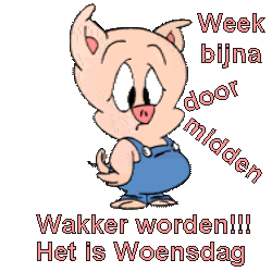 Plaatjes Woensdag 