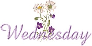 Plaatjes Woensdag 