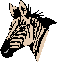 Zebra Plaatjes Zebra Kop