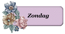 Plaatjes Zondag 