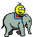 https://www.animaatjes.nl/smileys/smileys-en-emoticons/olifant/animaatjes-olifant-02632.gif