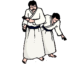 Aikido Sport plaatjes 