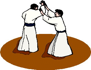 Aikido Sport plaatjes 