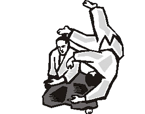 Aikido Sport plaatjes 