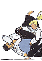 Aikido Sport plaatjes 