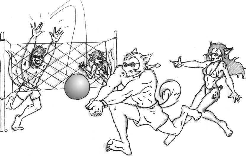 Sport plaatjes Beach volleybal 