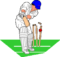 Sport plaatjes Cricket 