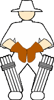 Sport plaatjes Cricket 