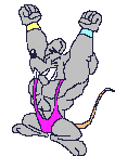 Dierensport Sport plaatjes 