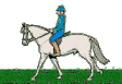 Sport plaatjes Dressuur 