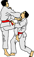 Sport plaatjes Jiu jitsu 