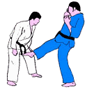 Sport plaatjes Jiu jitsu 