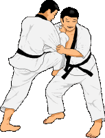 Judo Sport plaatjes 