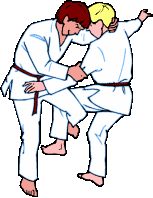 Judo Sport plaatjes 