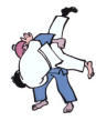 Judo Sport plaatjes 