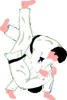 Judo Sport plaatjes 