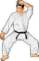 Karate Sport plaatjes 