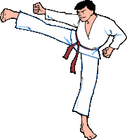 Karate Sport plaatjes 